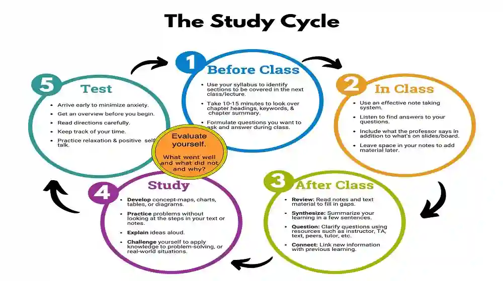 Top Techniques to Boost Your Study Habits